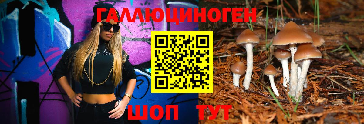 Галлюциногенные грибы Magic Shrooms  как найти закладки  Аксай  Вход с VPN 